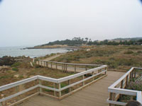 Another boardwalk shot. I was fascinated by it - can you tell
