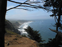 Scenery along highway 1