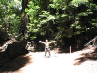 Big Sur - trail to Pfeiffer falls