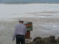 Cool old guy passing time at Point Lobos