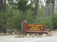 Point Lobos State Reserve