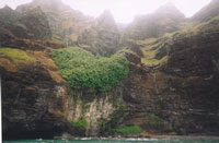 NaPali Coast