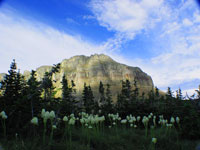 Glacier ROCKS!!