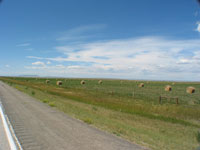 Hay bails.....Hay bales everywhere