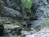 Watkins Glen is such a beautiful work of Nature