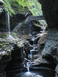 Watkins Glen