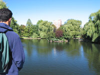 The public gardens in Boston