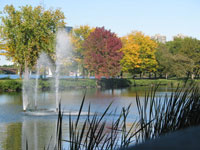 Fall Leaves Along the Charles River