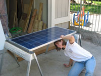 Natty scoping out ths solar panel