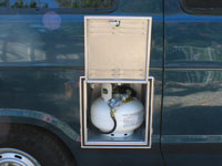 The Propane system from the outside