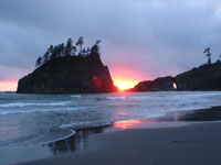 This beach is called second beach in Olympic N.P. - There were surfers at first beach