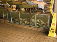 Pikes Market