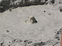 This is a close up of the mud boiling