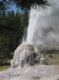 Lone Star geyser. We rode our bikes on an old road trail to get to this one.